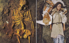 Alrededor del año 4000 a. C., una joven de Vedbaek, Dinamarca, fue enterrada con su hijo pequeño acostado en el ala de un cisne.