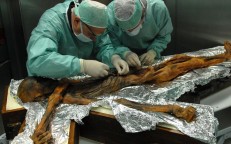 Descifra el misterio de la momia del Hombre de Hielo de 5.300 años de antigüedad en los Alpes